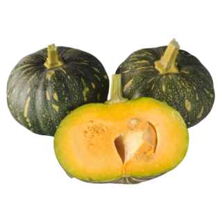 KYI-850 Winter Squash From Known You Seed (India)-Photoroom